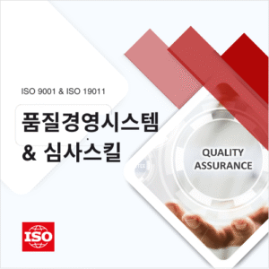 ISO 9001 + ISO 19011